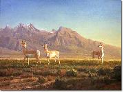 Albert Bierstadt Prong-Horned Antelope oil painting